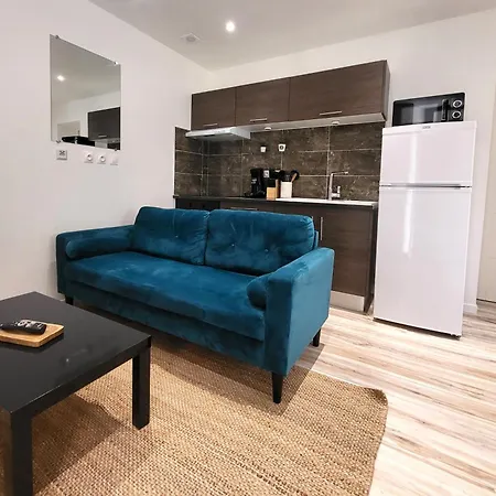 T2 Plain-pied Hypercentre Apartment Le Puy-en-Velay